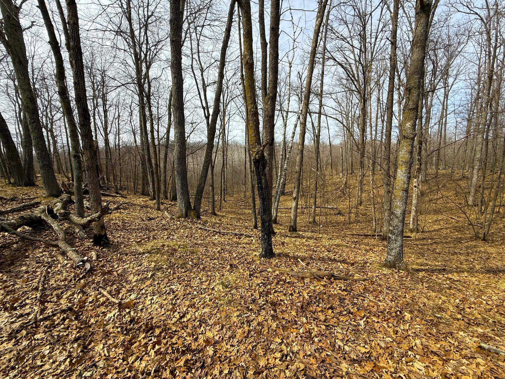 3298 Harbor Street Isle, MN 56342 - Photo 72 of 76