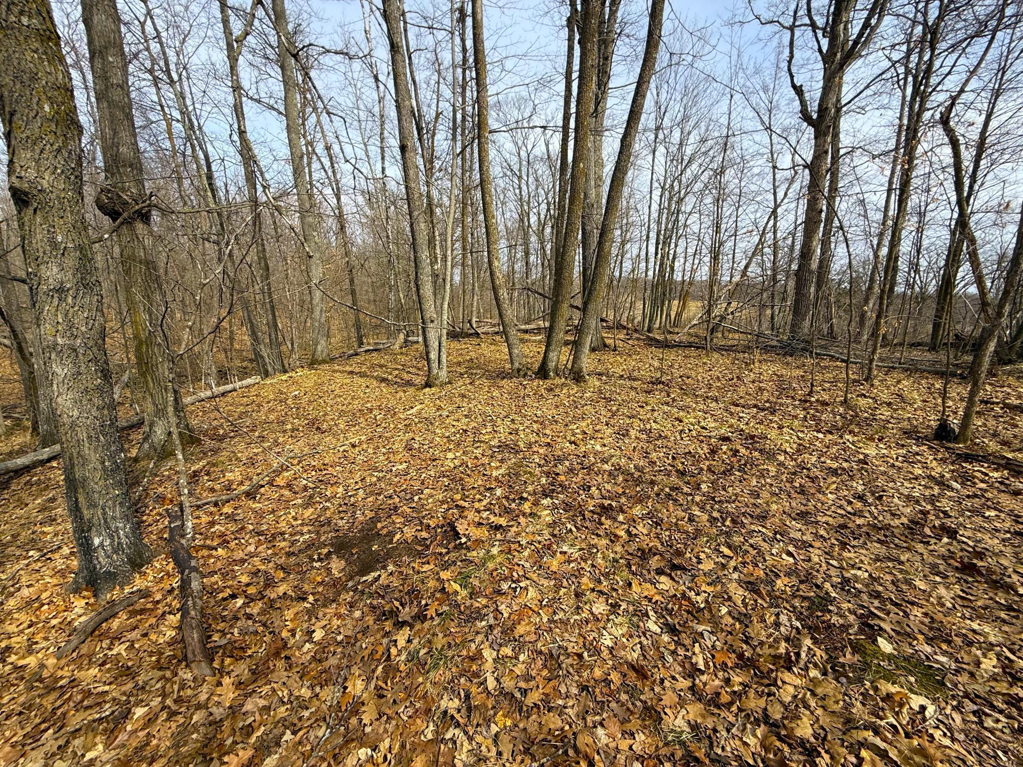 3298 Harbor Street Isle, MN 56342 - Photo 73 of 76