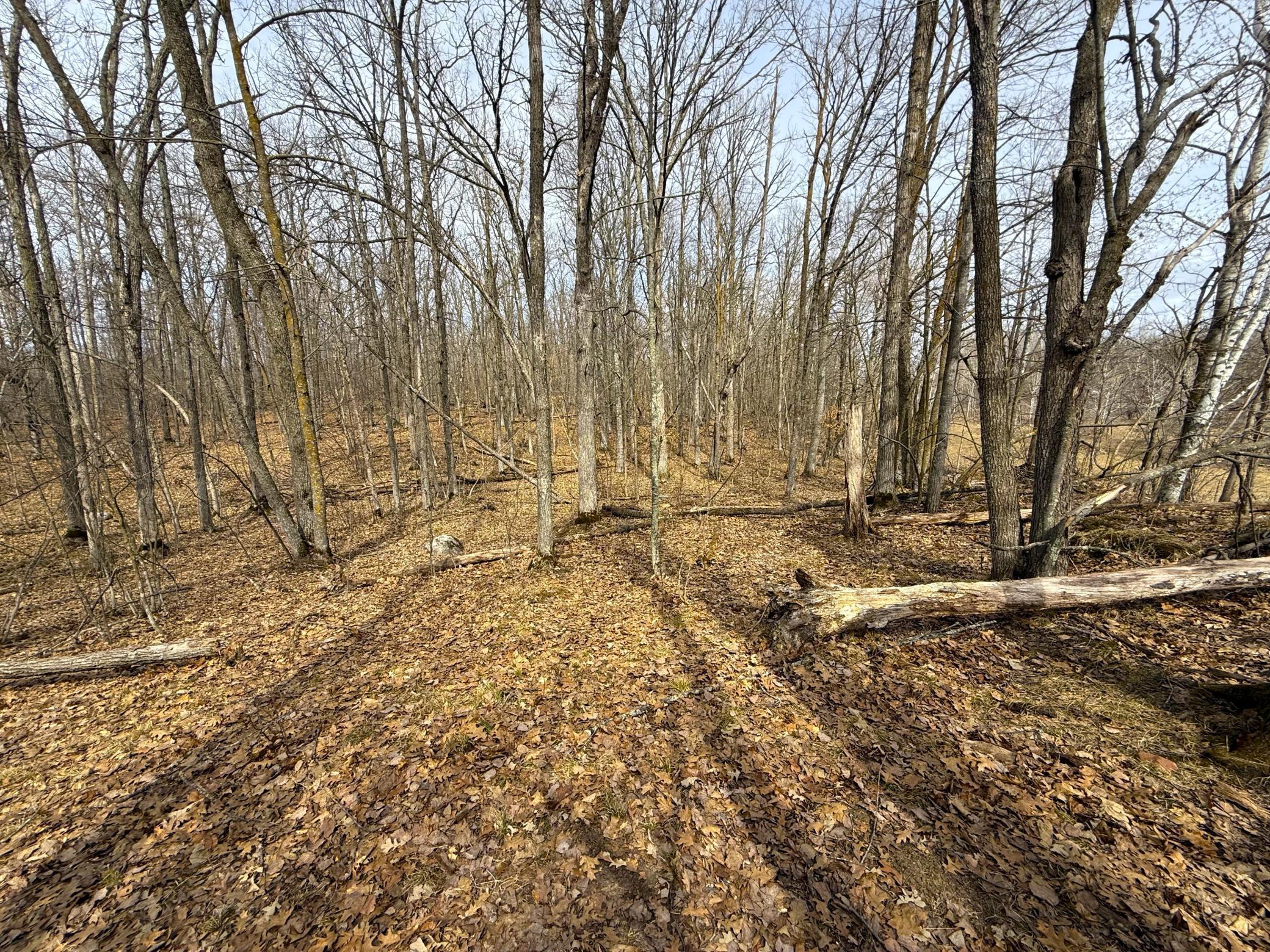 3298 Harbor Street Isle, MN 56342 - Photo 74 of 76