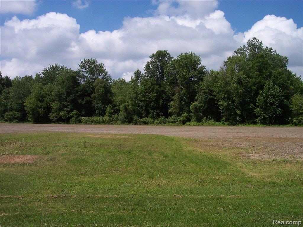 78601 Angling Road Richmond, MI 48062 - Photo 4 of 5 Stickel 003