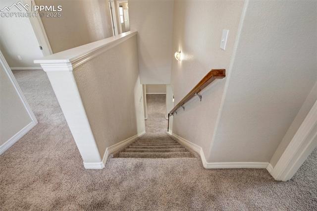 2305 Reed Grass Way Colorado Springs, CO 80915 - Photo 19 of 48