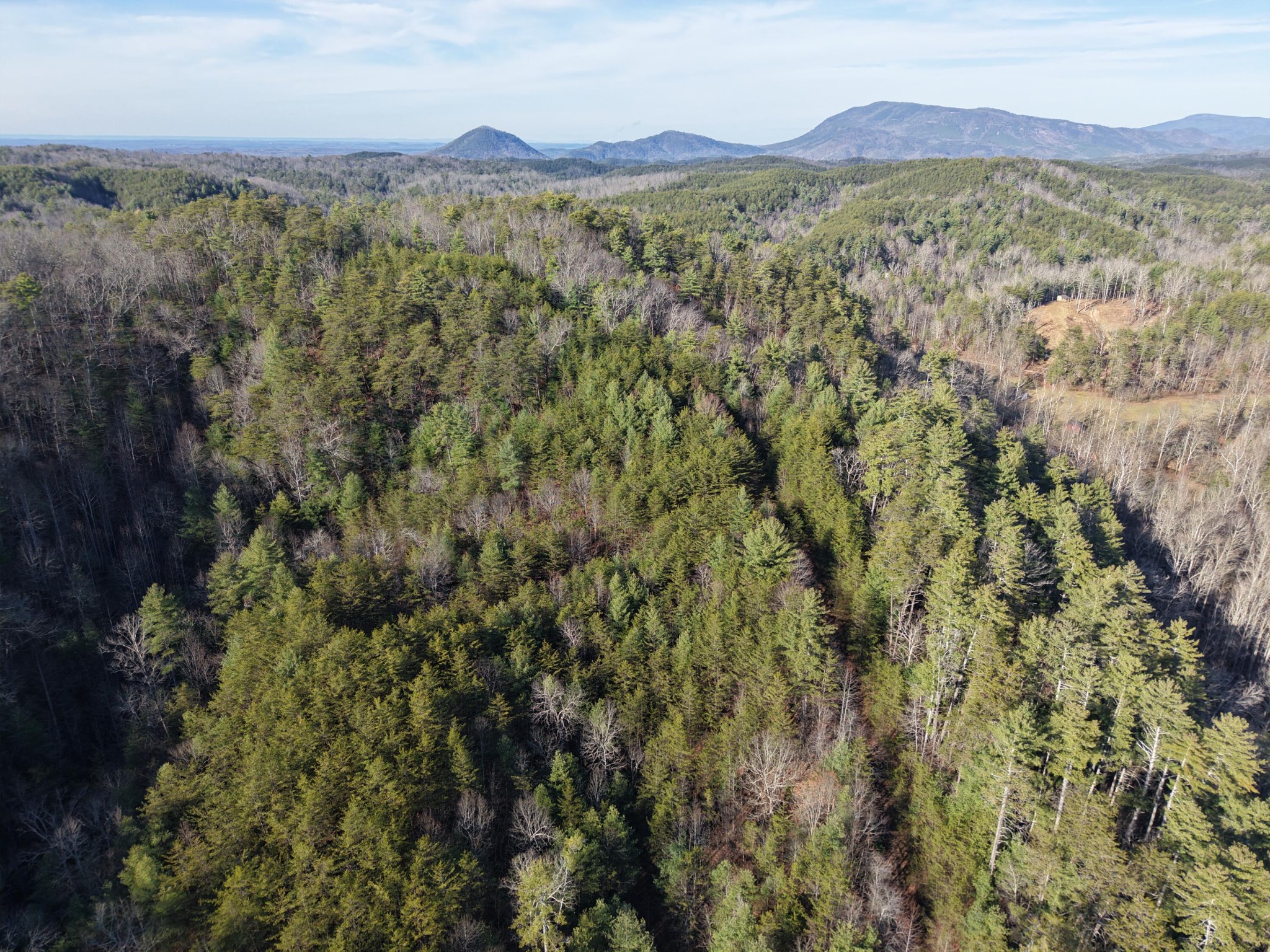 0 Bakers Creek Road Old Fort, TN 37362 - Photo 9 of 15
