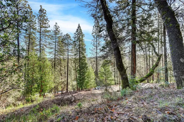 $75,000 | 12776 Little Deer Creek Lane, Nevada City, CA 95959