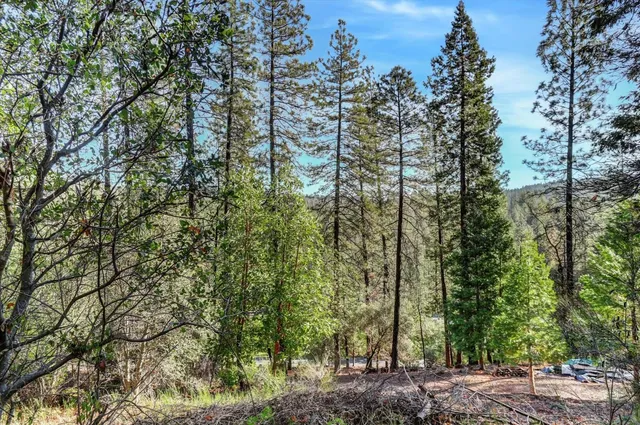 $75,000 | 12776 Little Deer Creek Lane, Nevada City, CA 95959