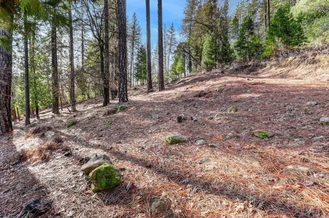 $75,000 | 12776 Little Deer Creek Lane, Nevada City, CA 95959