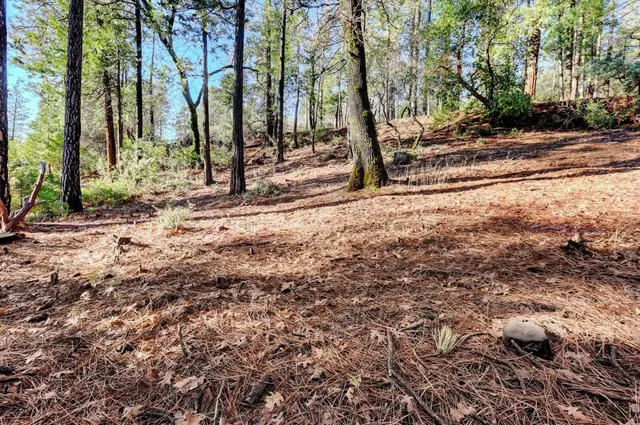 $75,000 | 12776 Little Deer Creek Lane, Nevada City, CA 95959