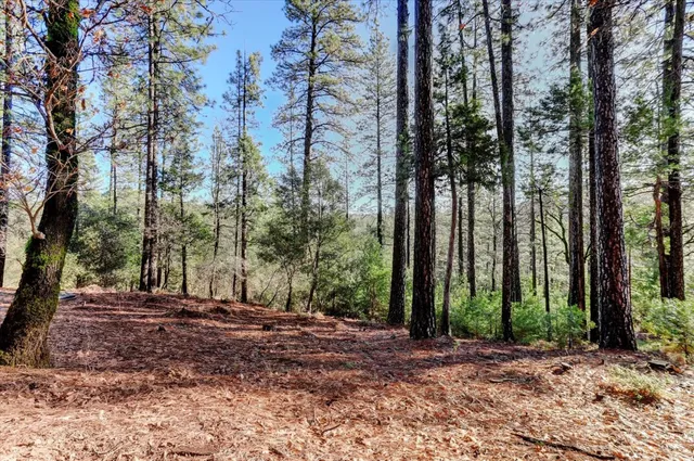 $75,000 | 12776 Little Deer Creek Lane, Nevada City, CA 95959