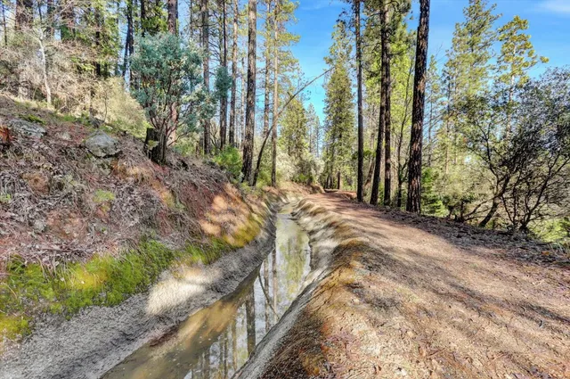 $75,000 | 12776 Little Deer Creek Lane, Nevada City, CA 95959