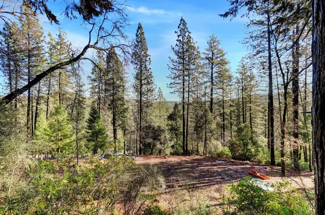 $75,000 | 12776 Little Deer Creek Lane, Nevada City, CA 95959