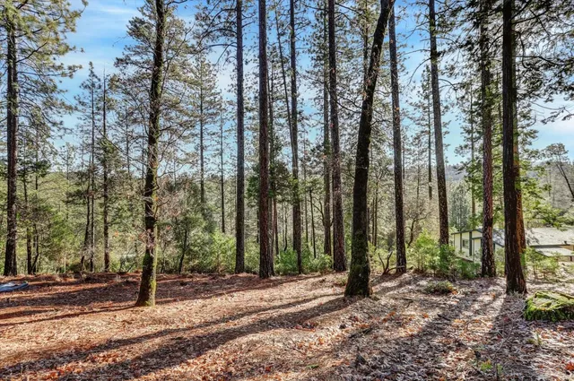 $75,000 | 12776 Little Deer Creek Lane, Nevada City, CA 95959