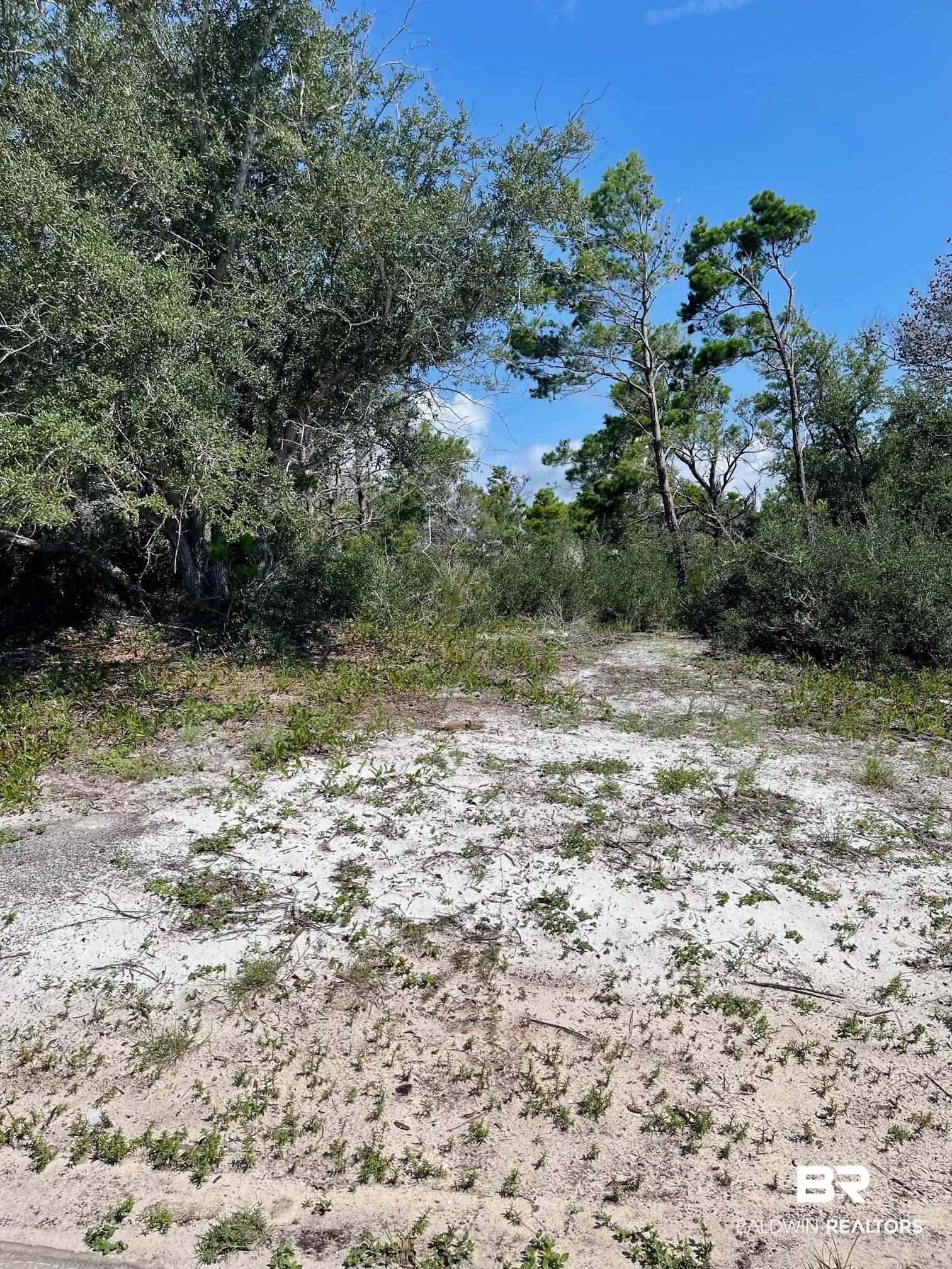Lot 91 River Road Orange Beach, AL 36561 - Photo 1 of 10