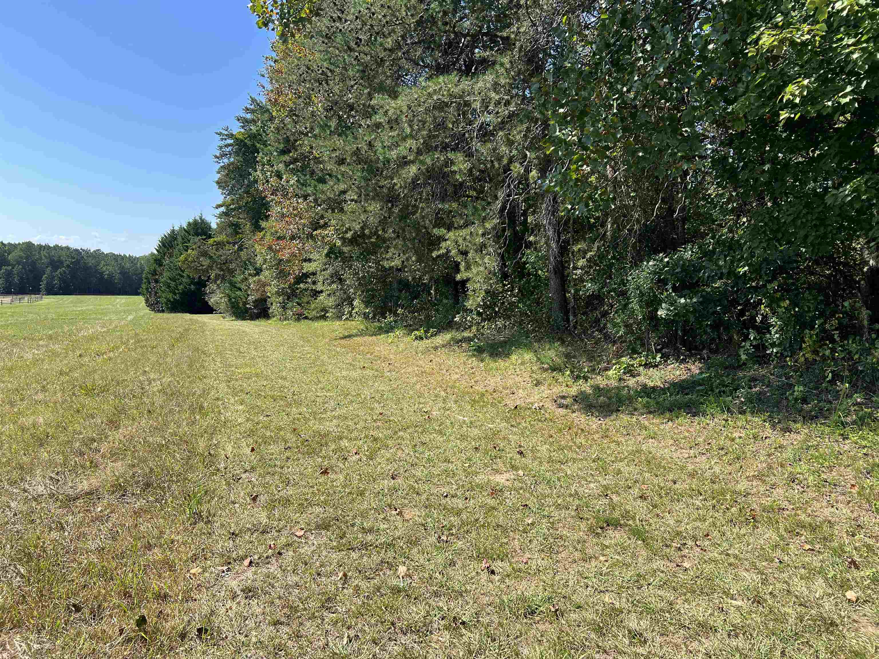 Tbd Tbd New Cut Road Campobello, SC 29322 - Photo 12 of 21