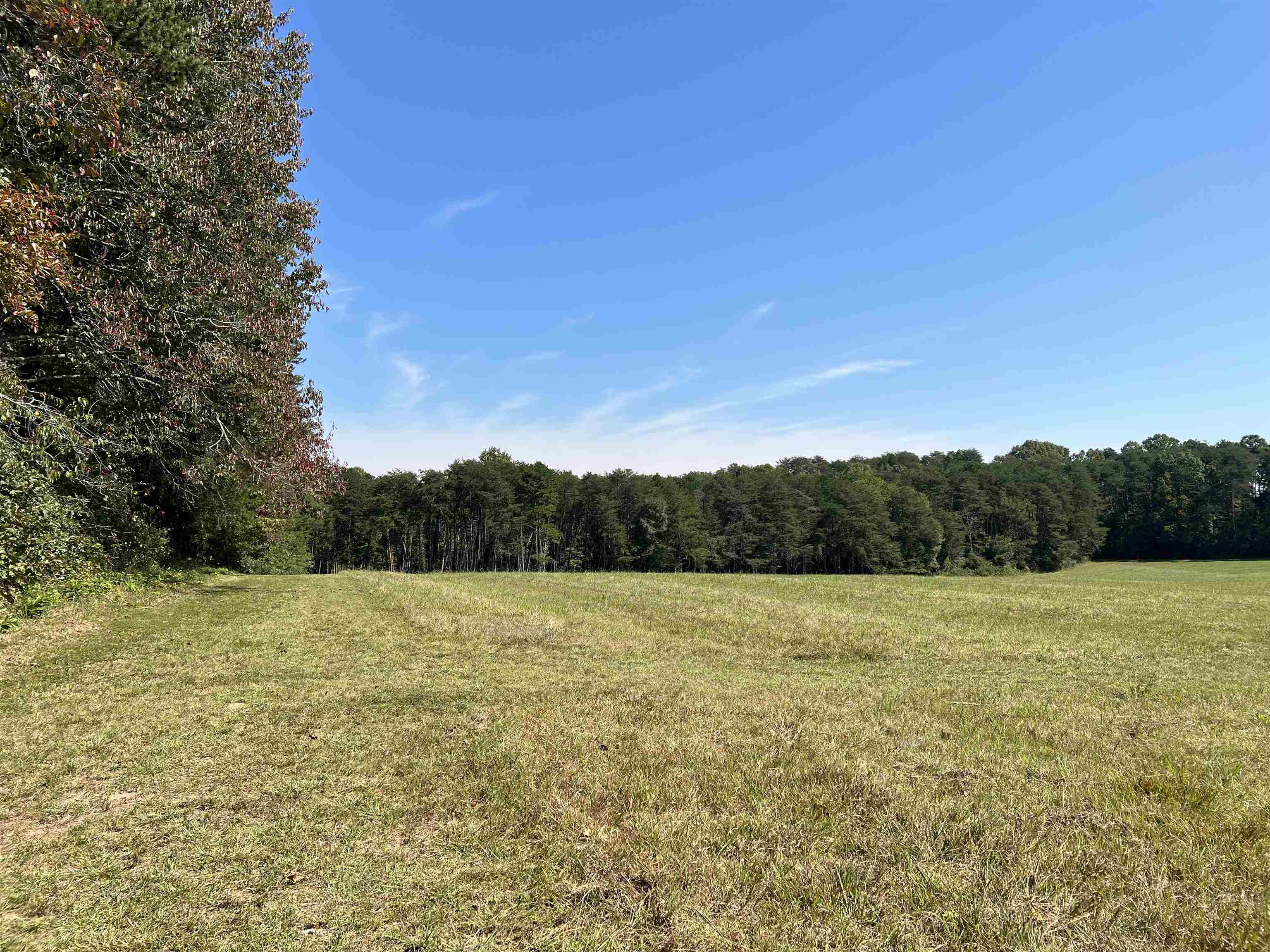 Tbd Tbd New Cut Road Campobello, SC 29322 - Photo 13 of 21