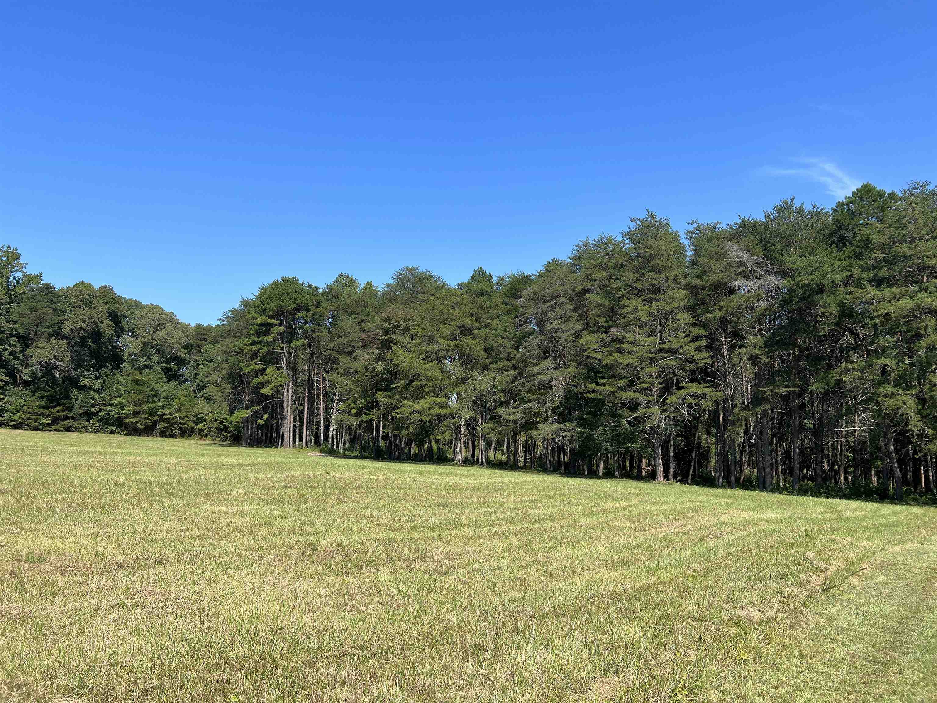Tbd Tbd New Cut Road Campobello, SC 29322 - Photo 14 of 21