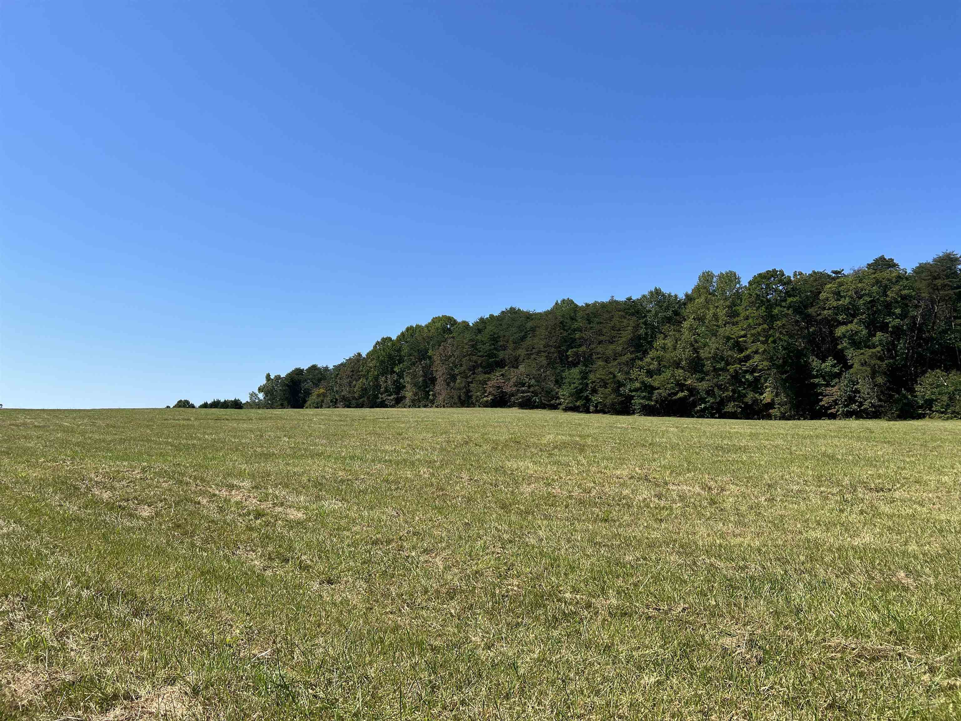 Tbd Tbd New Cut Road Campobello, SC 29322 - Photo 15 of 21