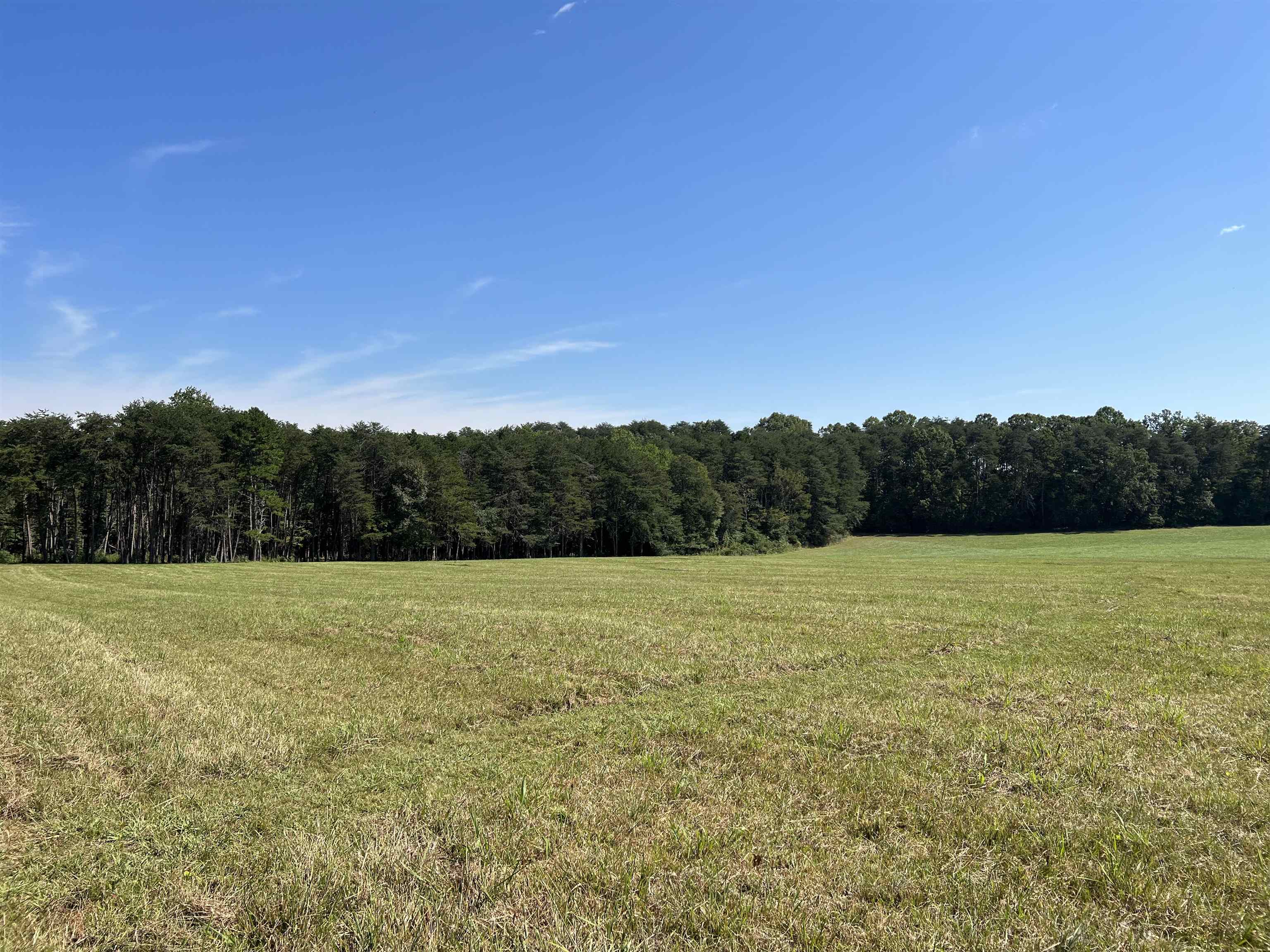 Tbd Tbd New Cut Road Campobello, SC 29322 - Photo 16 of 21