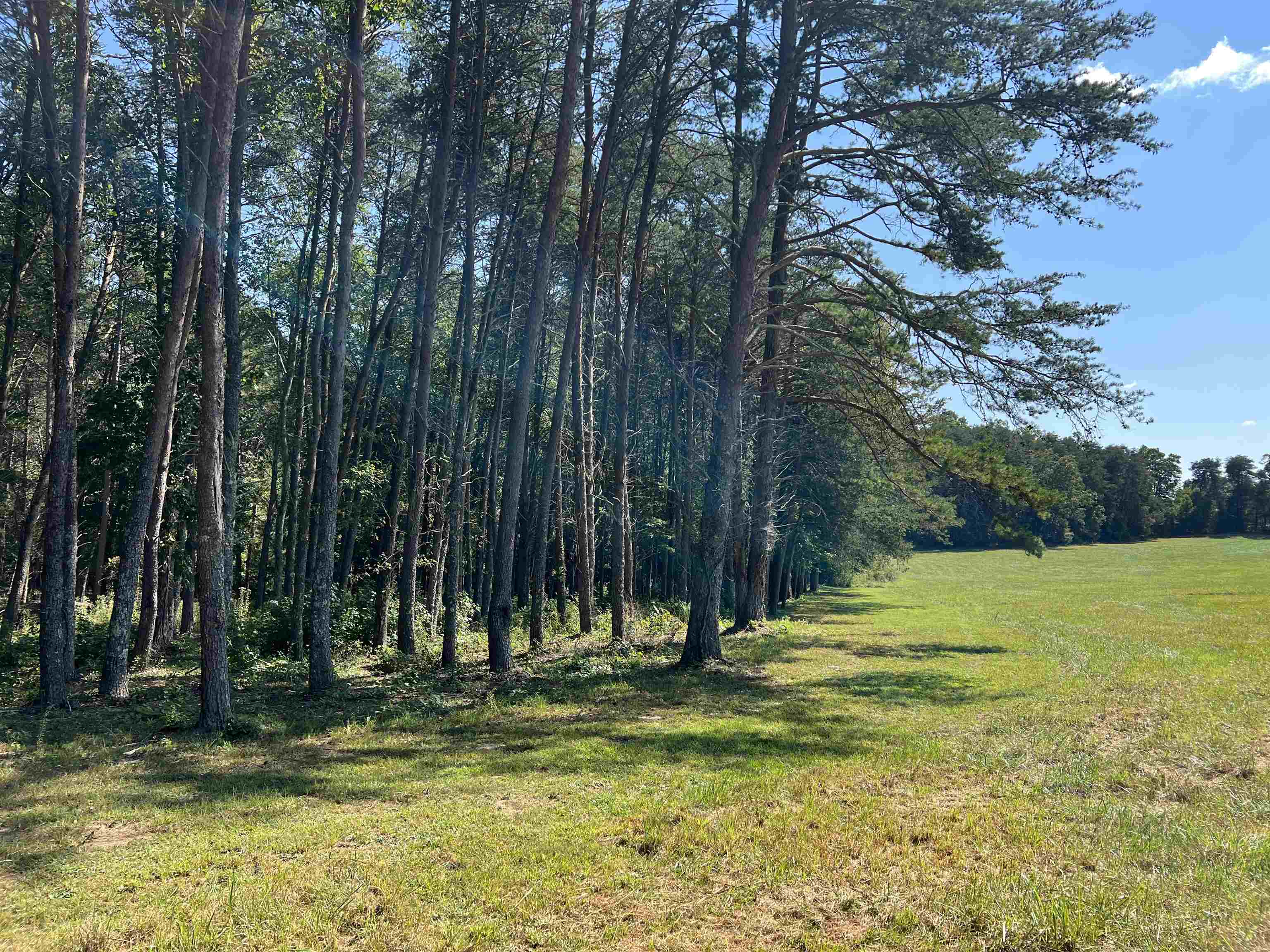 Tbd Tbd New Cut Road Campobello, SC 29322 - Photo 19 of 21