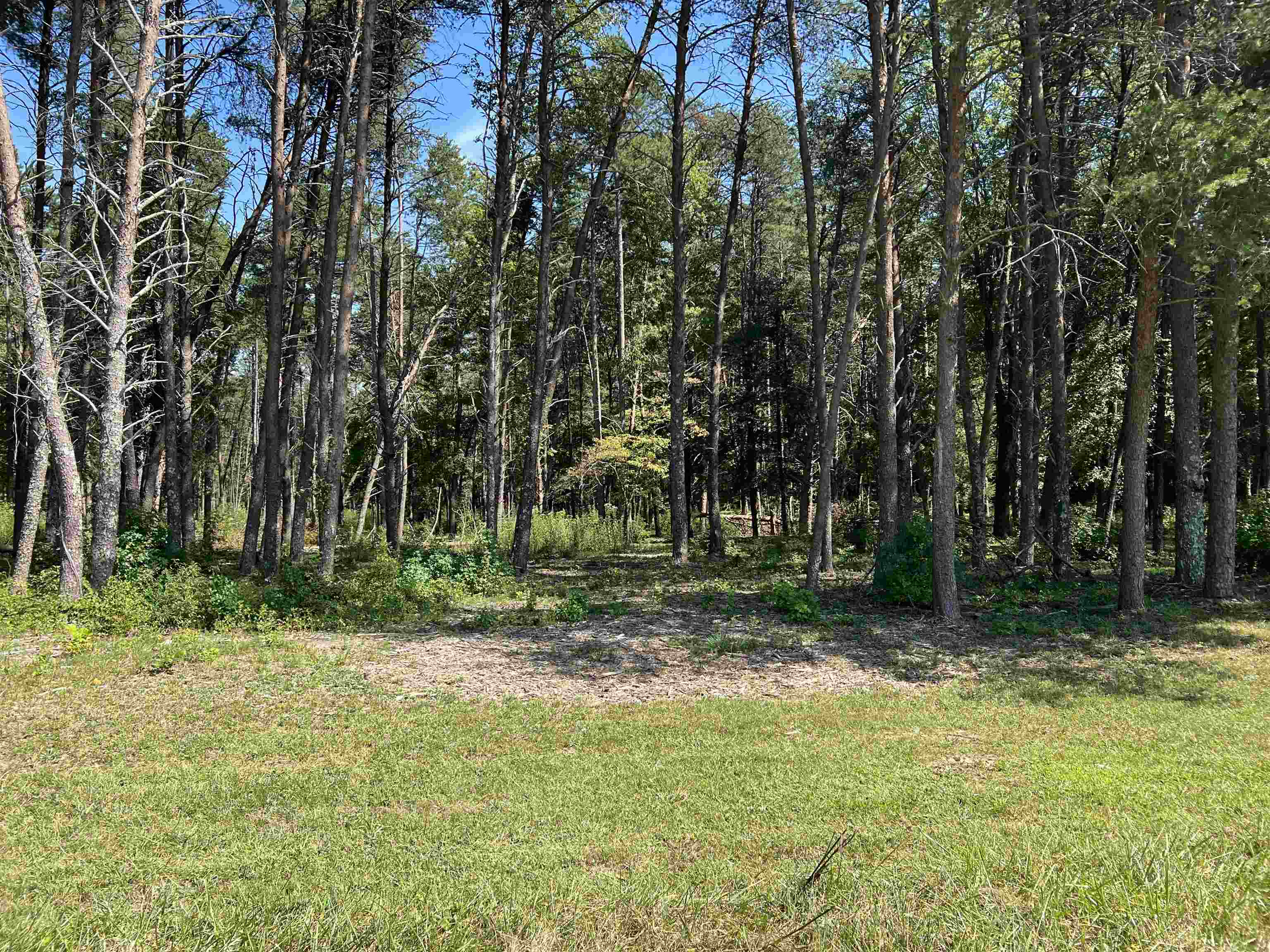 Tbd Tbd New Cut Road Campobello, SC 29322 - Photo 20 of 21