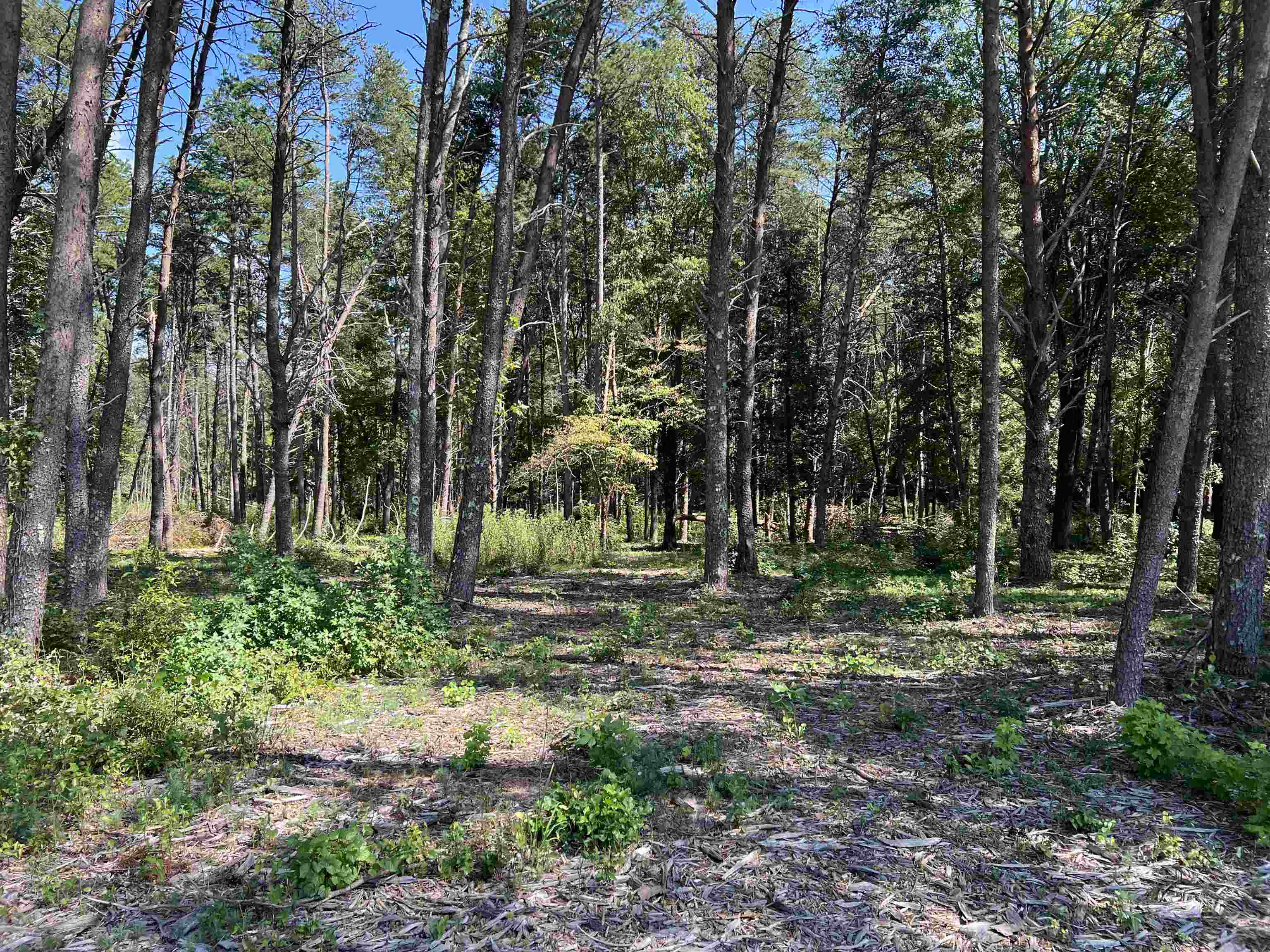 Tbd Tbd New Cut Road Campobello, SC 29322 - Photo 21 of 21