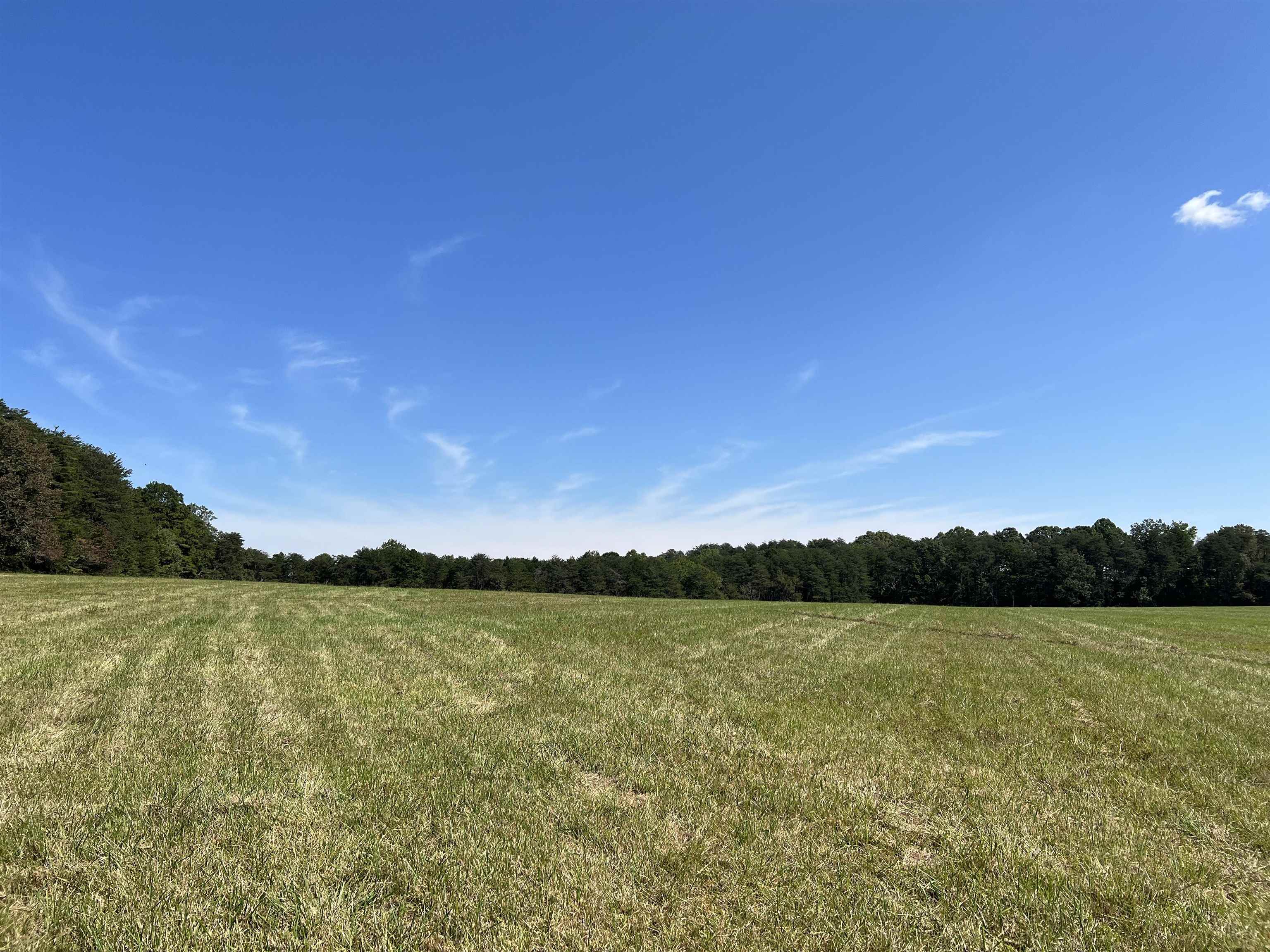 Tbd Tbd New Cut Road Campobello, SC 29322 - Photo 3 of 21