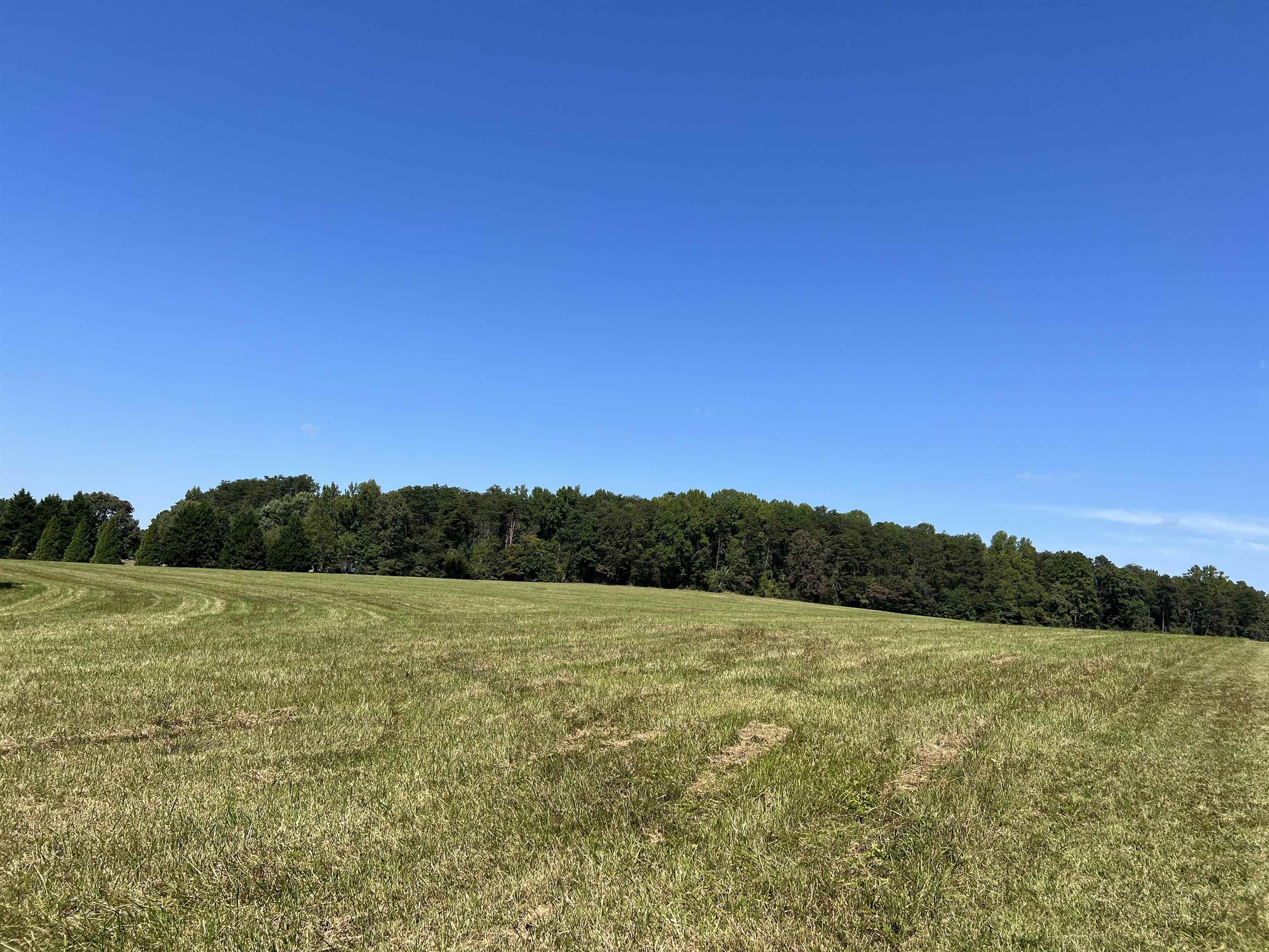 Tbd Tbd New Cut Road Campobello, SC 29322 - Photo 4 of 21