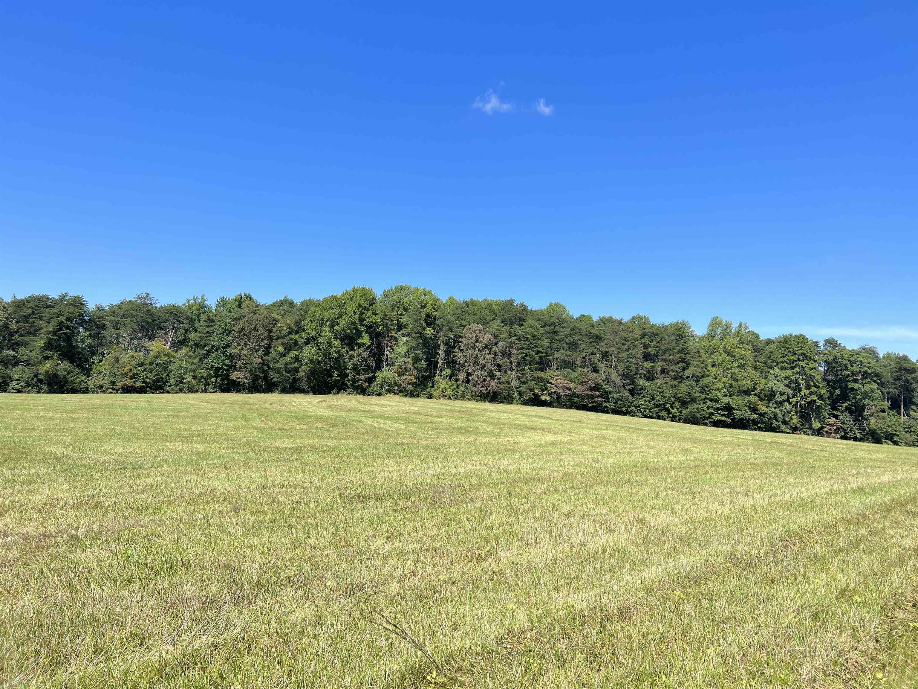 Tbd Tbd New Cut Road Campobello, SC 29322 - Photo 8 of 21