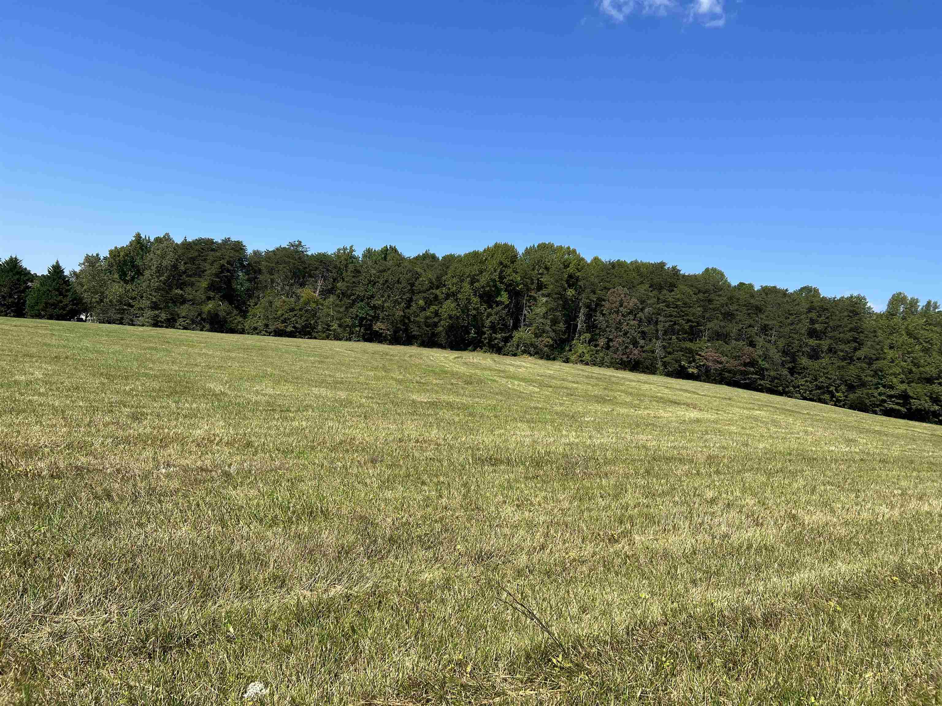 Tbd Tbd New Cut Road Campobello, SC 29322 - Photo 9 of 21