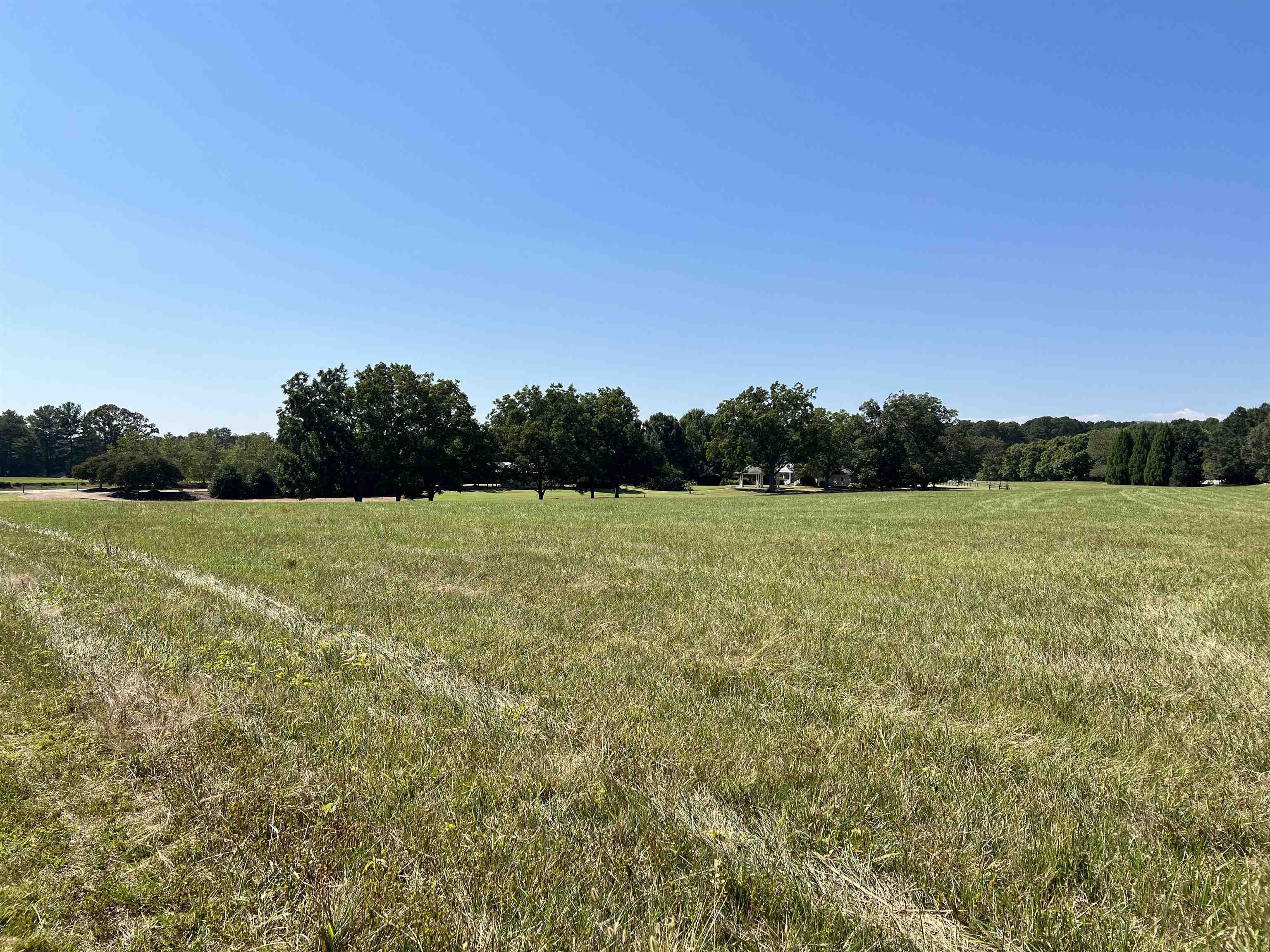 Tbd Tbd New Cut Road Campobello, SC 29322 - Photo 10 of 21