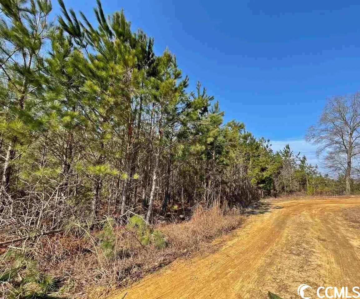 Begley Stump Road Chesterfield, SC 29709 - Photo 3 of 3 Gallery Image 3