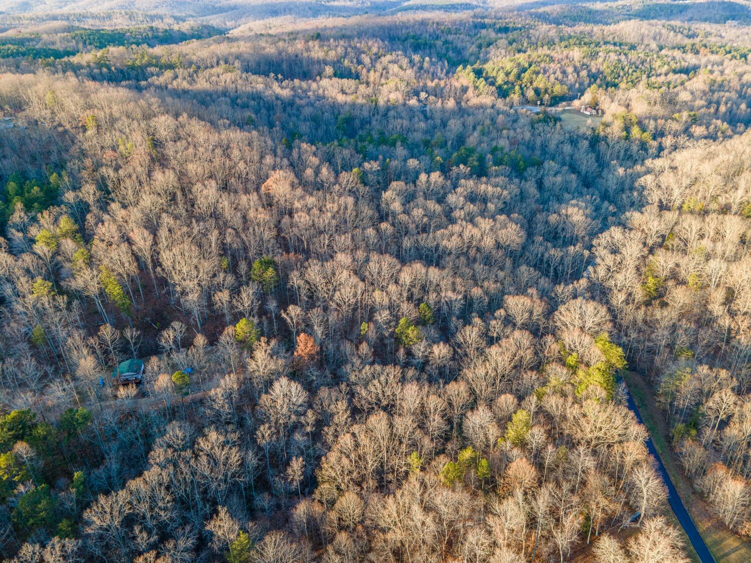9999 West Adkins Arthur Road Somerset, KY 42501 - Photo 6 of 24 12_DJI_0629