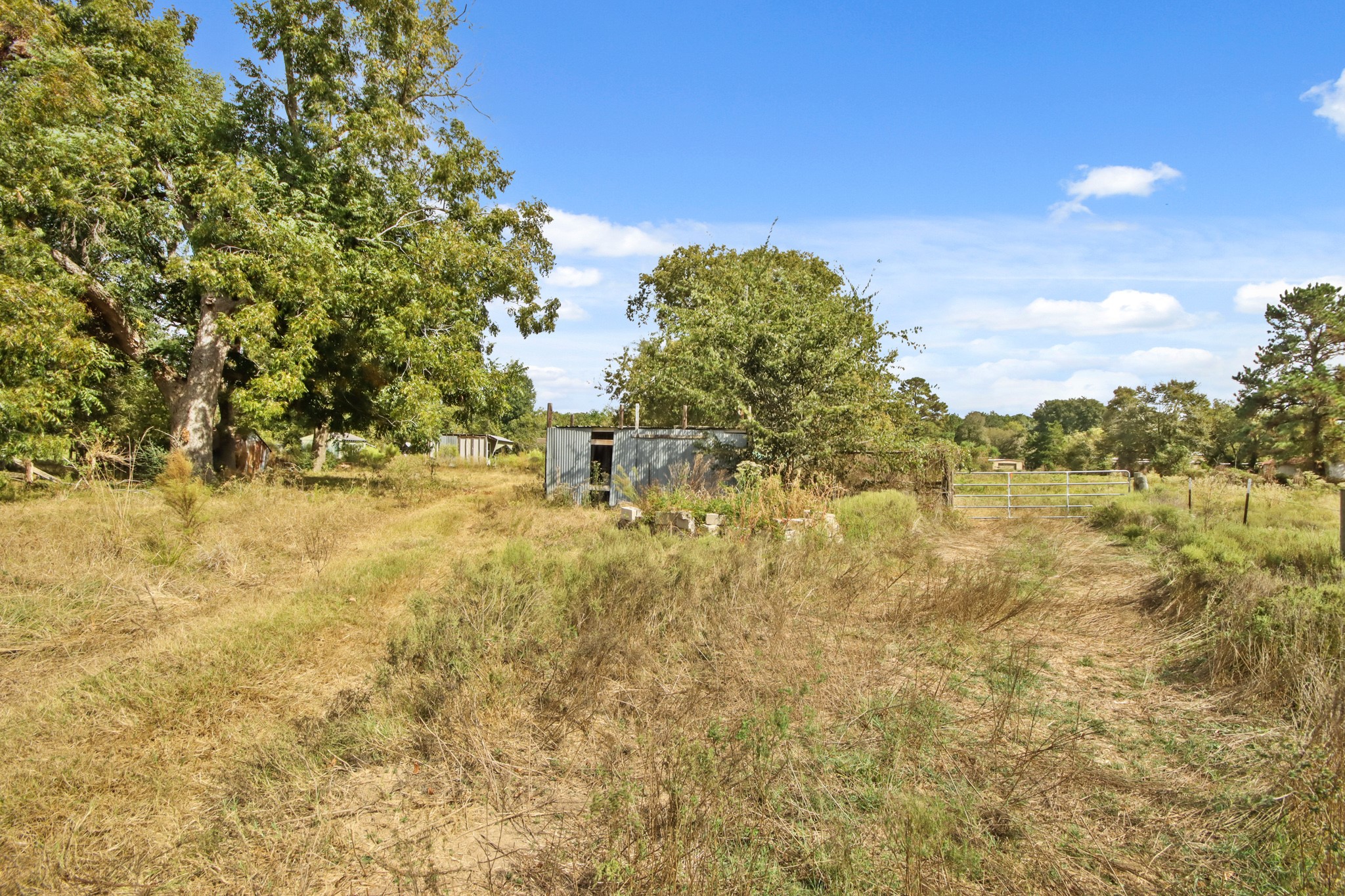 24904 Macedonia Road Hockley, TX 77447 - Photo 8 of 12 a view of lake view