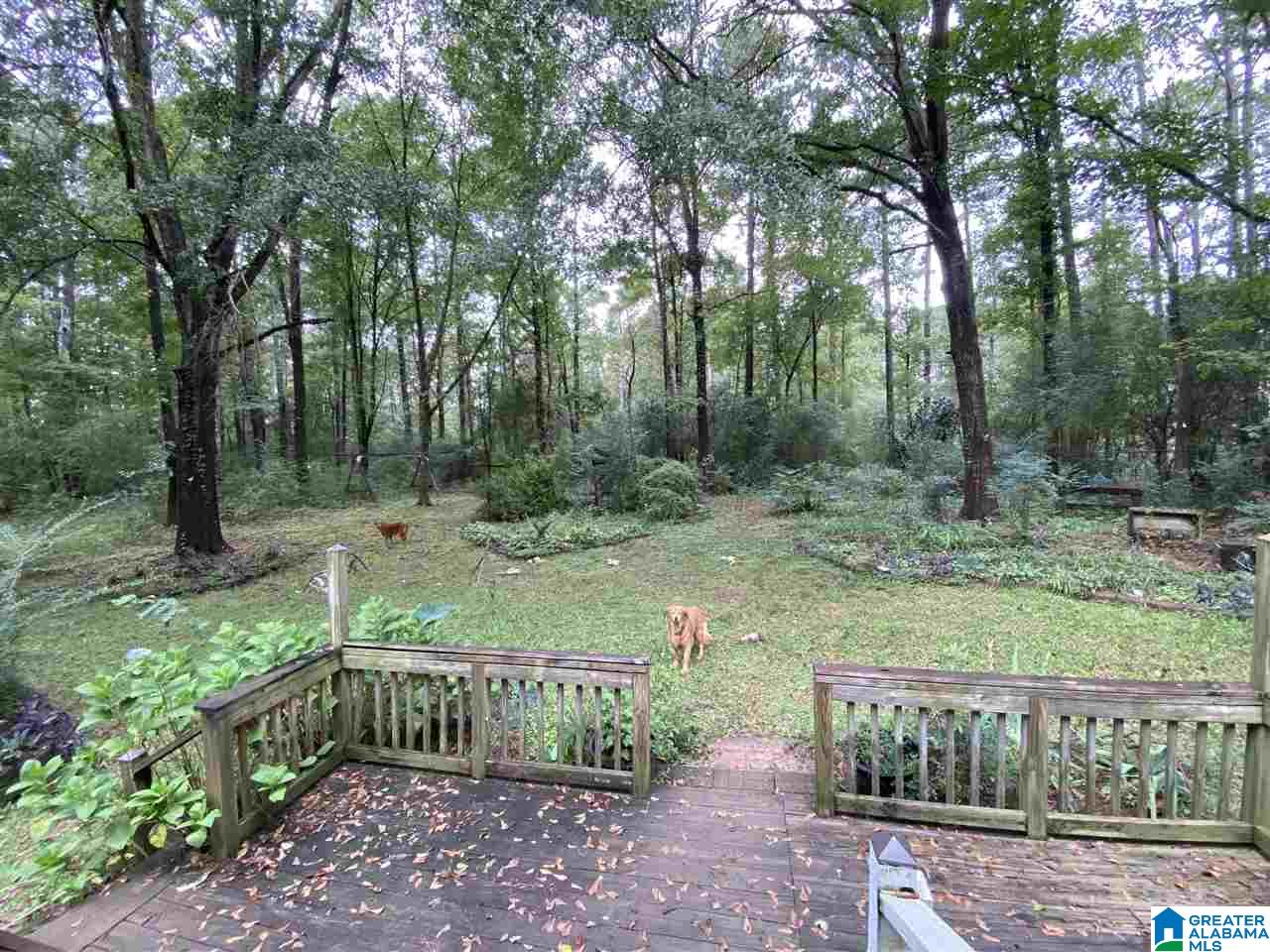 119 Country Cove Chelsea, AL 35043 - Photo 3 of 21