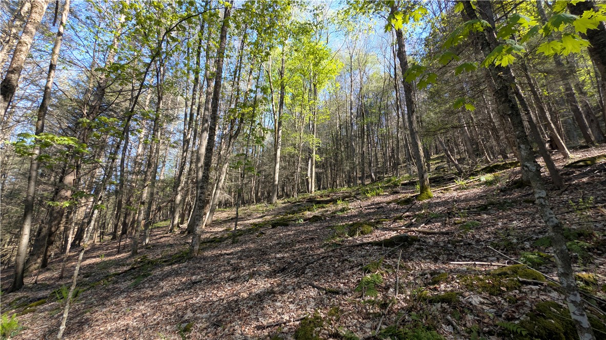 Lot 5 East River Road Andes, NY 13731 - Photo 32 of 39