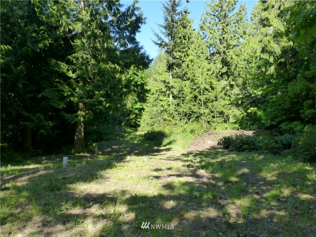 193 Elwha Bluff Road Port Angeles, WA 98363 - Photo 12 of 15 Gallery Image 12