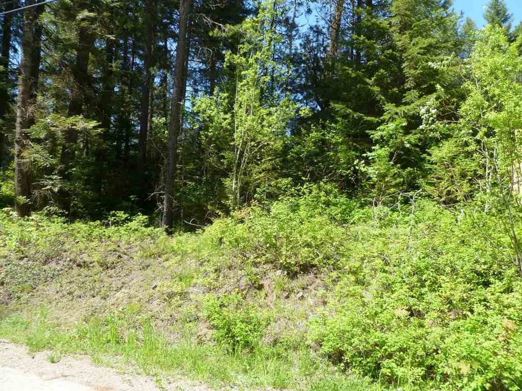 Lot 34 Davis Lake Road Usk, WA 99180 - Photo 5 of 6 Gallery Image 5