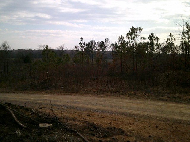 0 Sosbee Road Chatsworth, GA 30705 - Photo 4 of 10