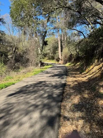 a view of path along with road and green space