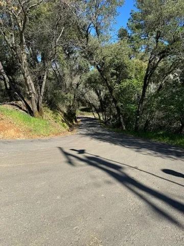 a view of empty space with trees