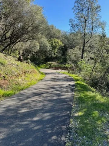 a view of a yard with a tree