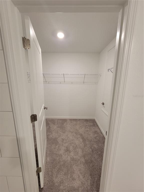 1844 Red Loop Lakeland, FL 33801 - Photo 22 of 24 a view of bathroom