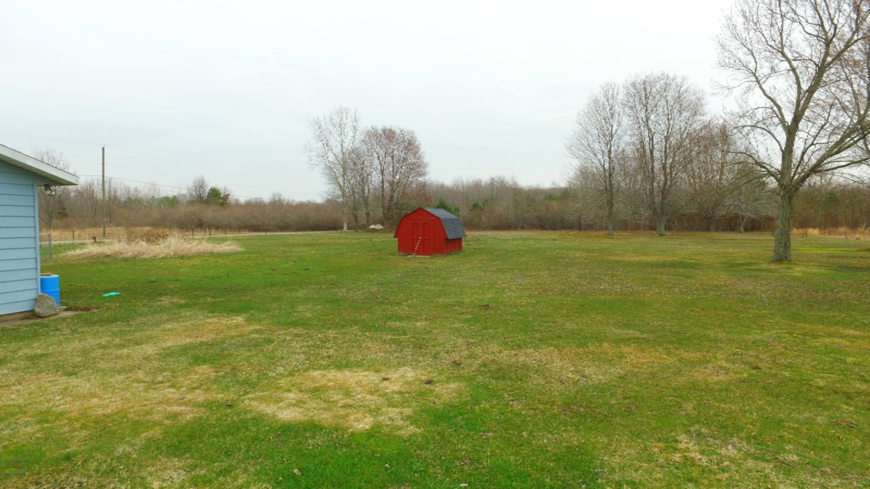 6183 Becht Road Coloma, MI 49038 - Photo 40 of 48 back yard shed