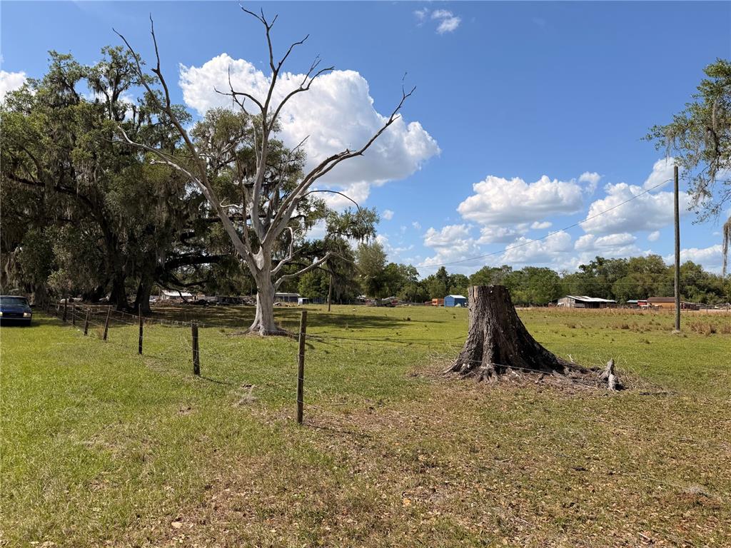 20512 Ramer Road Dade City, FL 33523 - Photo 4 of 15