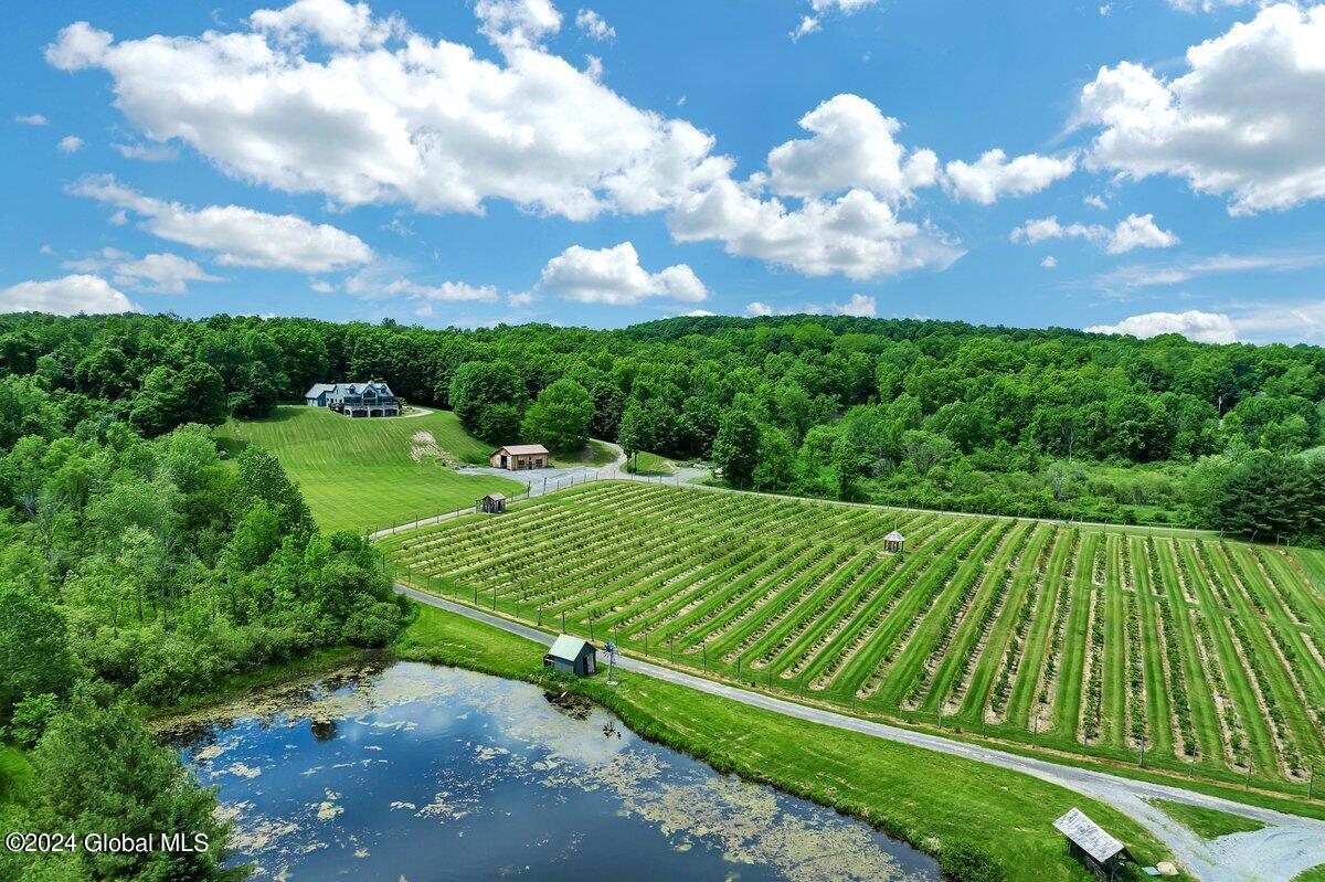 2478 Galway Road Galway, NY 12074 - Photo 70 of 77 DJI_0051 (1)