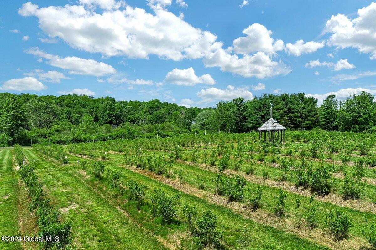 2478 Galway Road Galway, NY 12074 - Photo 72 of 77 DJI_0106