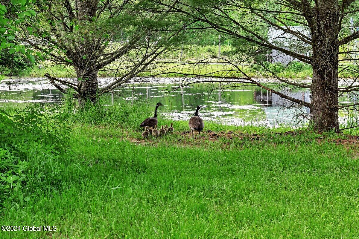 2478 Galway Road Galway, NY 12074 - Photo 75 of 77 P1147524