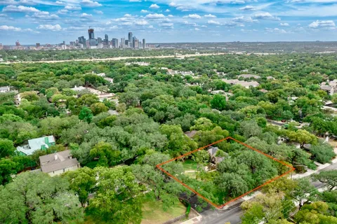 a view of a big yard with plants and large trees