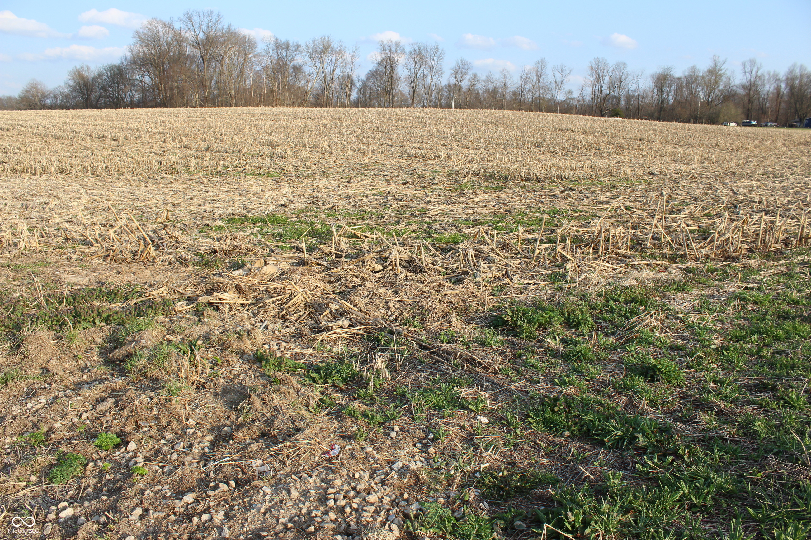 400 West Rural Plat Greencastle, IN 46135 - Photo 2 of 3