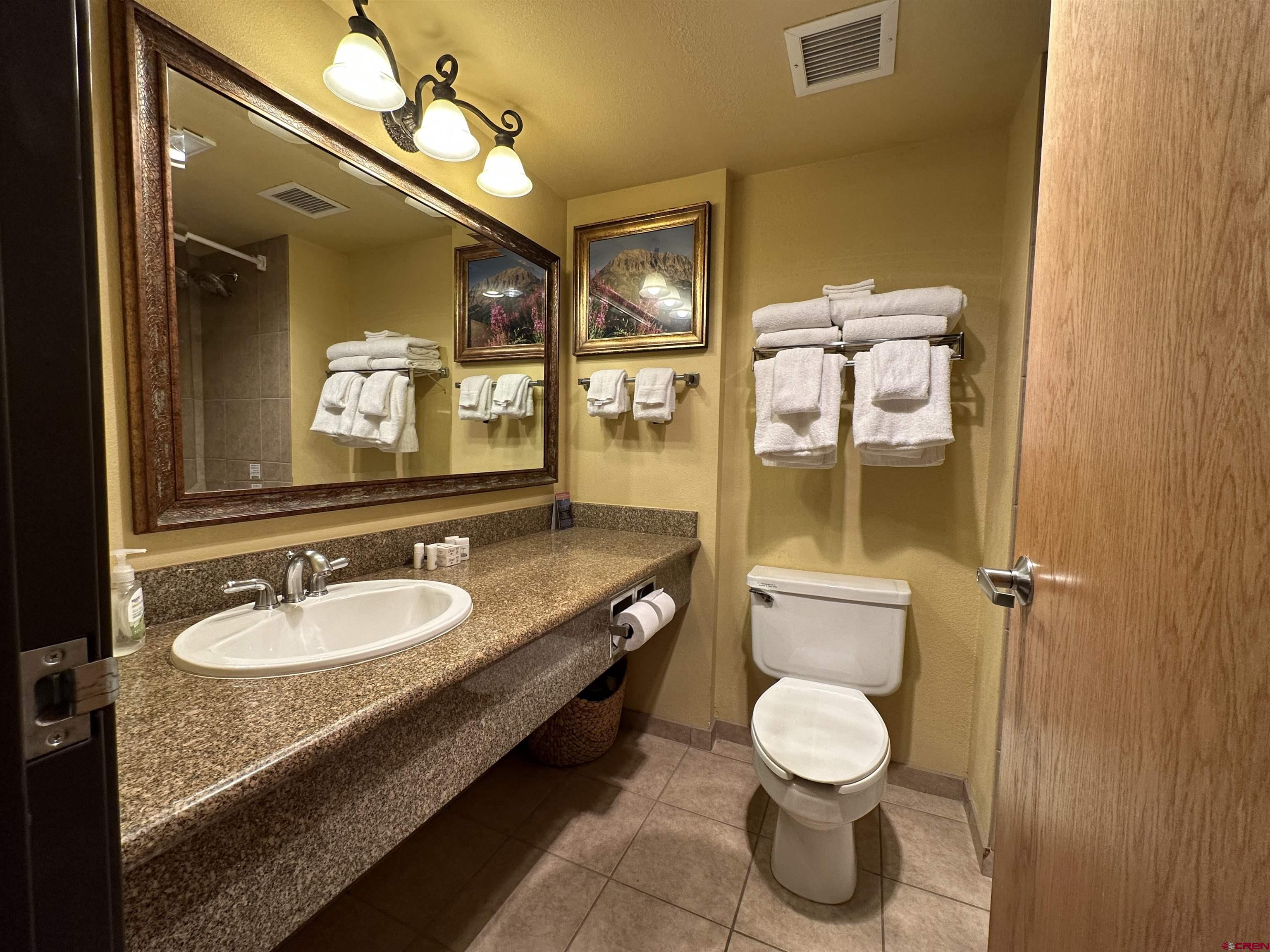 6 Emmons Road, Unit 317 Crested Butte, CO 81225 - Photo 8 of 19 a bathroom with a granite countertop sink toilet a mirror and a shower