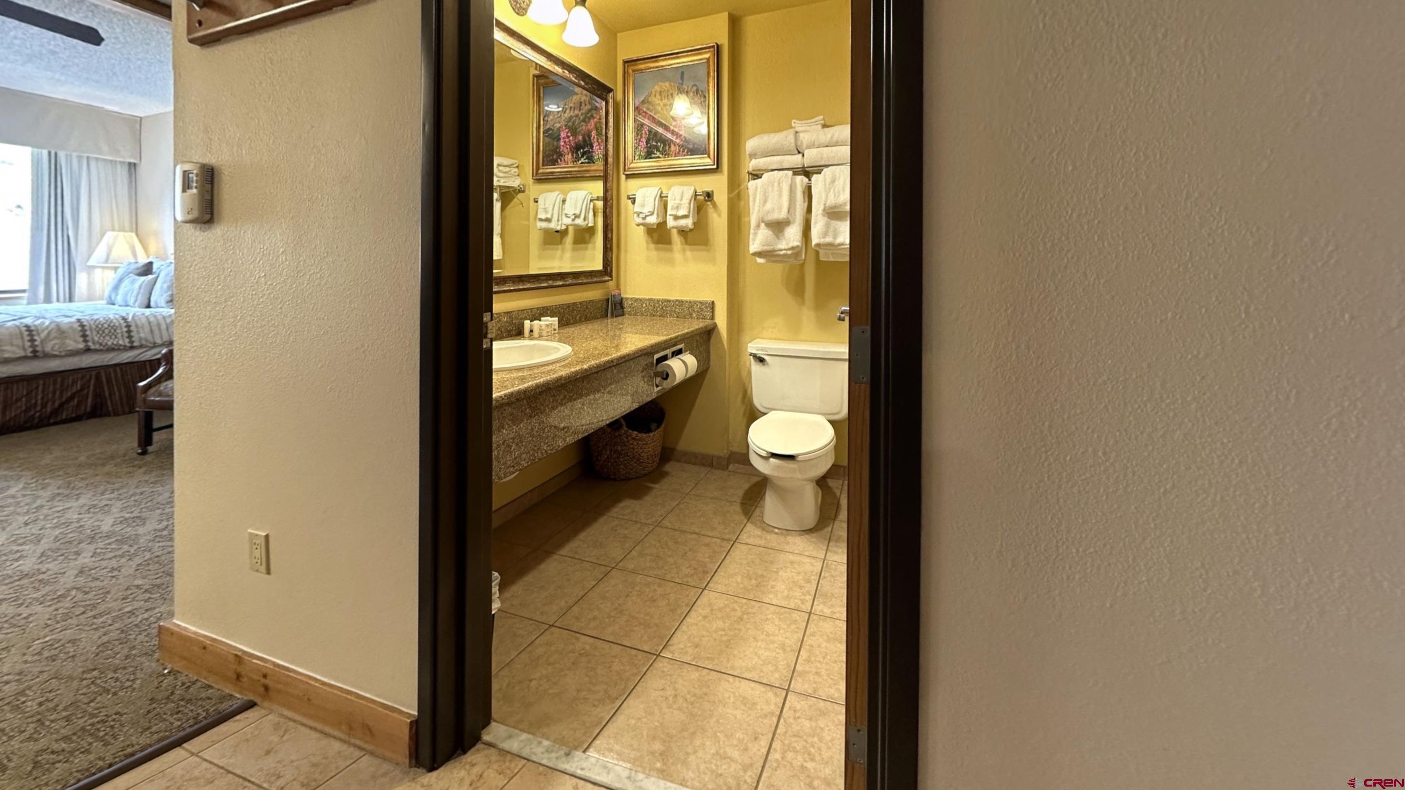 6 Emmons Road, Unit 317 Crested Butte, CO 81225 - Photo 9 of 19 a view of a bathroom with a sink and a mirror
