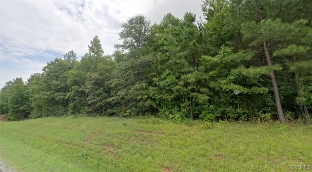 a view of a yard with a tree